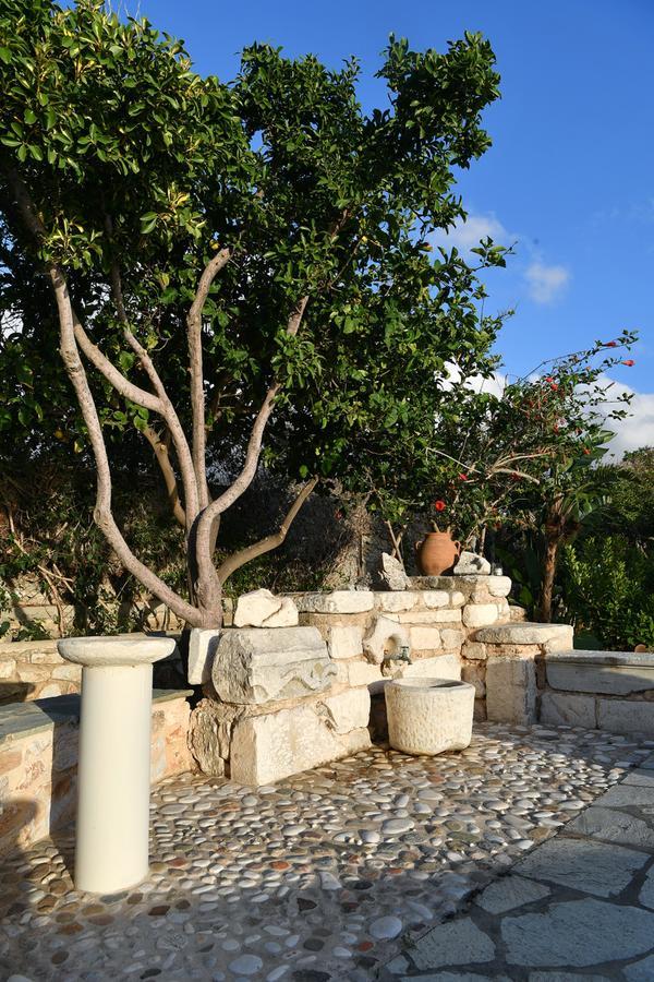 Villa Callista パロス島 エクステリア 写真
